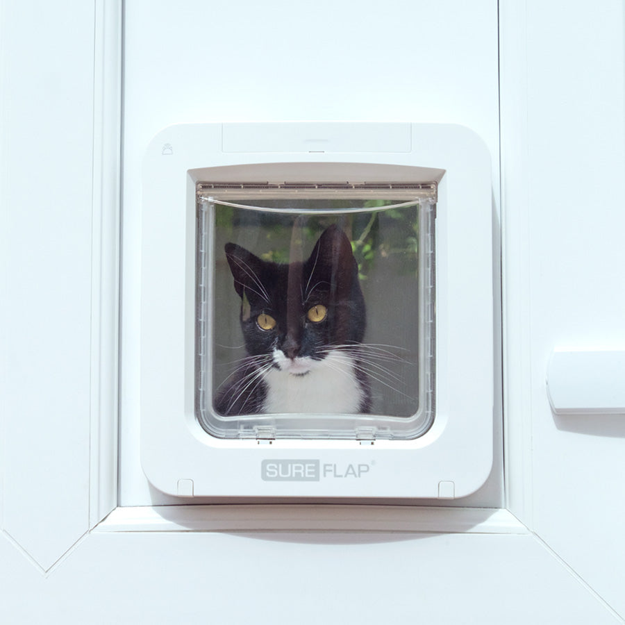 SureFlap Microchip Pet Door Connect with Hub – White Medium/Large for Cats & Small Dogs