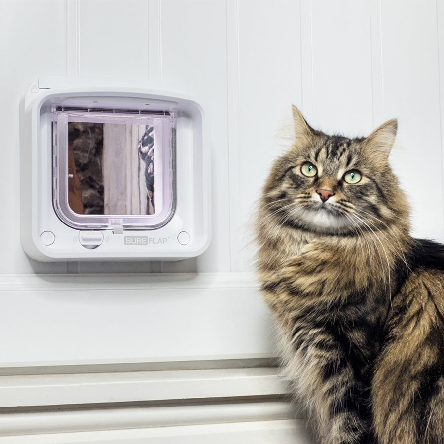 SureFlap Microchip Cat Flap Connect with Hub – White Small/Medium