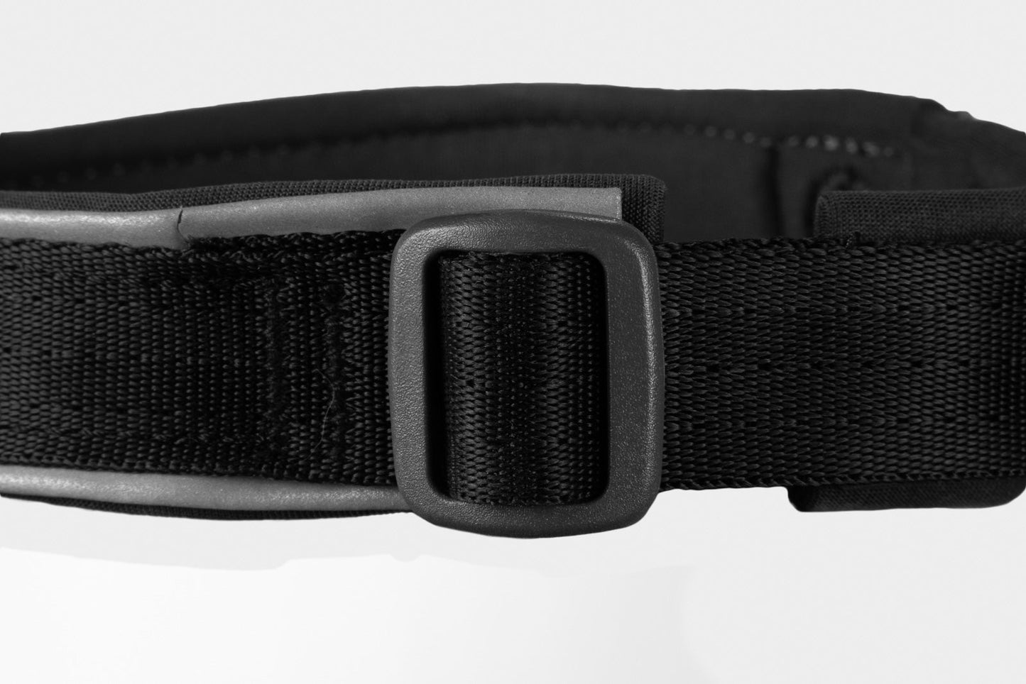 MIZZY’s Pet Store Padded Dog Collar – Durable Adjustable Black Collar for Everyday Walks